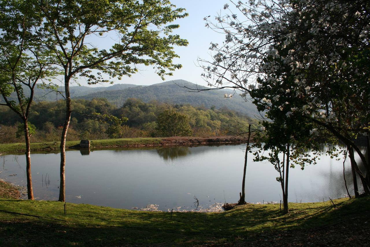 Mountain Creek Lodge Hazyview Bagian luar foto